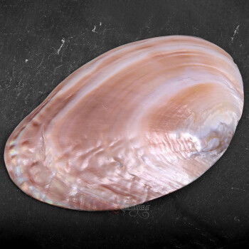 El Yazması Nazar Ayeti Yazılı Orijinal Sedef Kabuk - 4